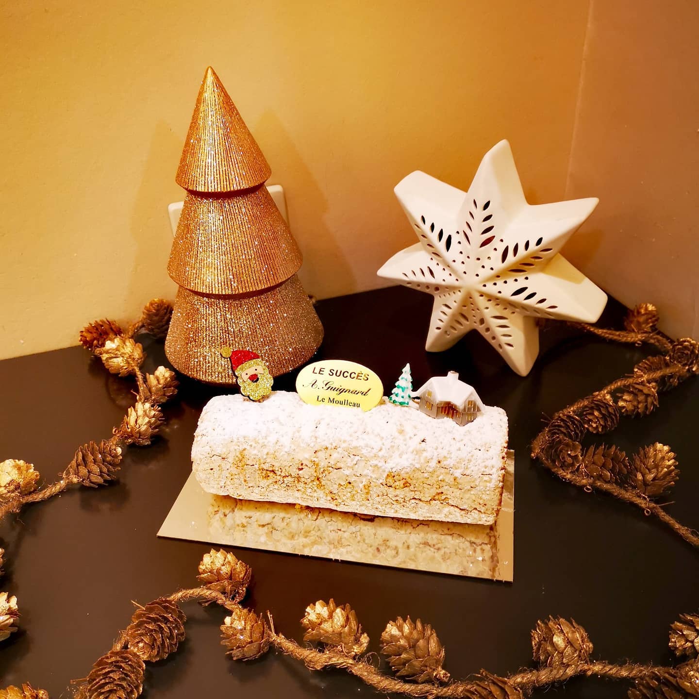 Sas Guignard Le Moulleau