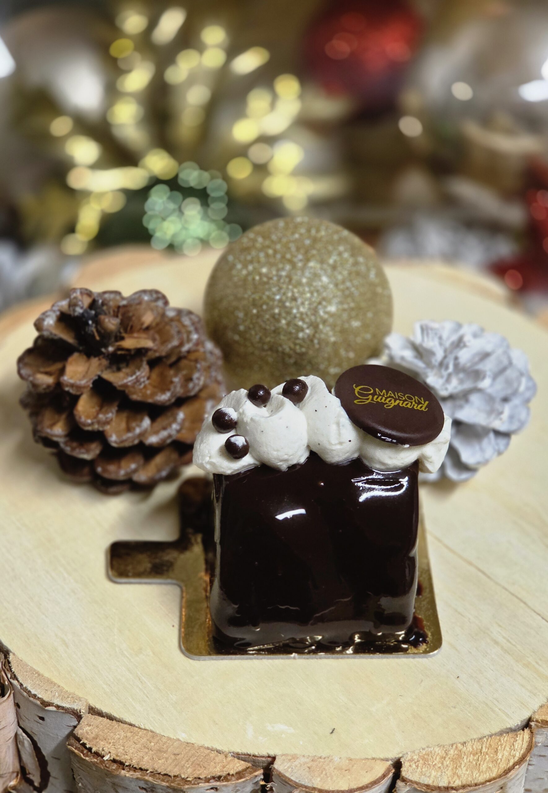 Sas Guignard Le Moulleau