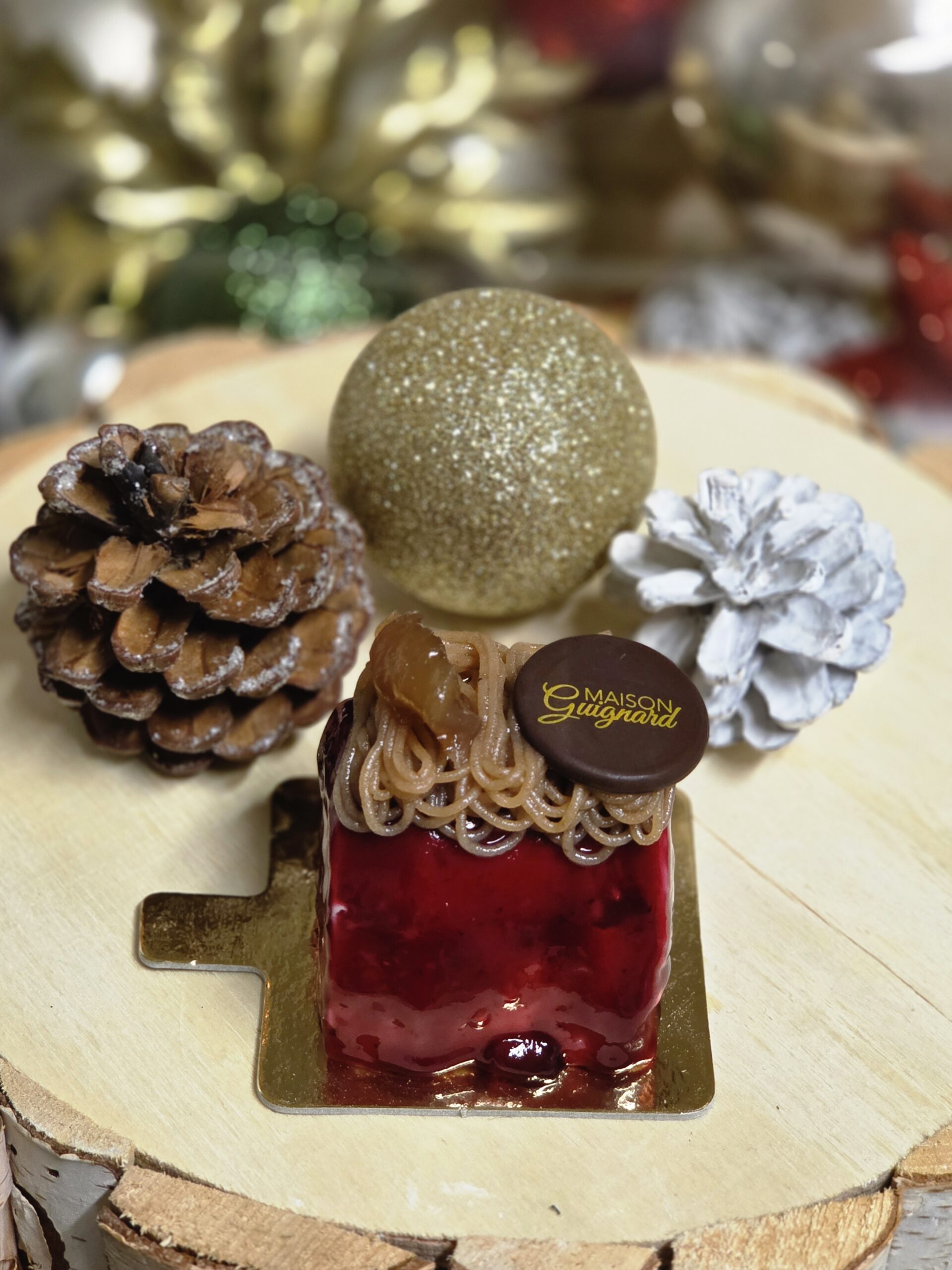 Sas Guignard Le Moulleau