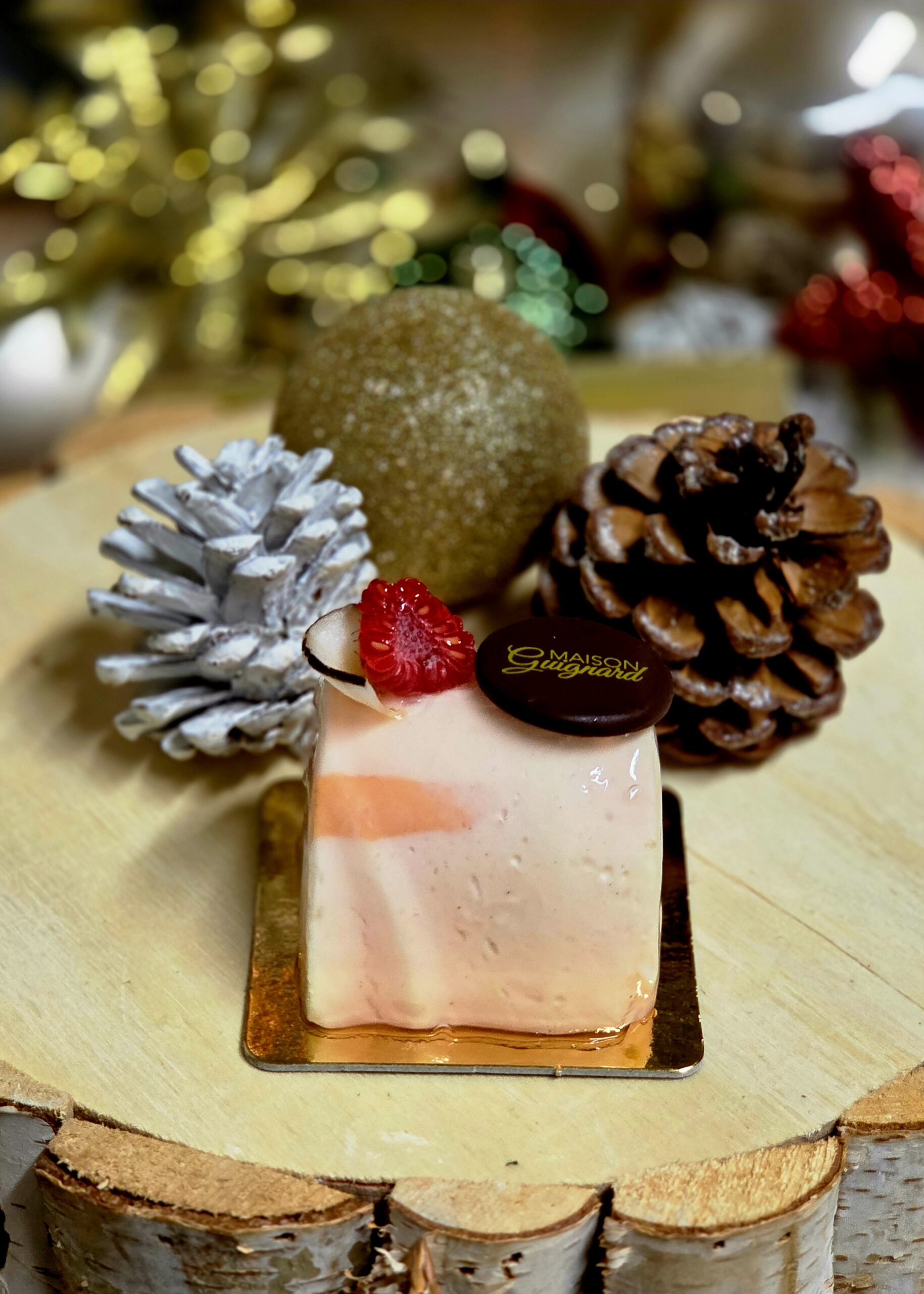 Sas Guignard Le Moulleau